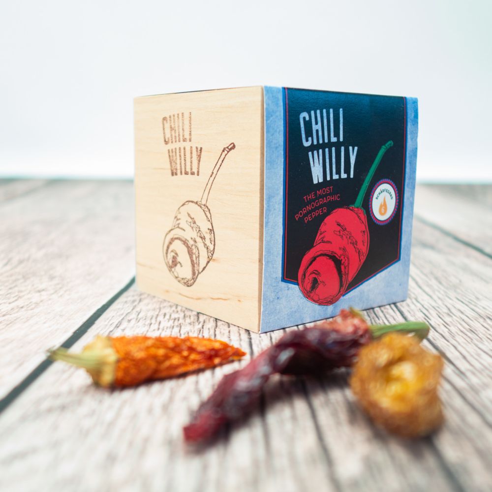 ecocube - Chili im Holzwürfel