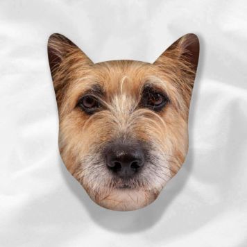 Pet Monster Mushion™ – Personalised Pet Cushion - Chiselled Dog
