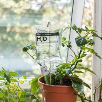 Notfall-Bewässerung für Pflanzen