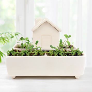 Mini-Pflanzenhaus mit Selbstbewässerung